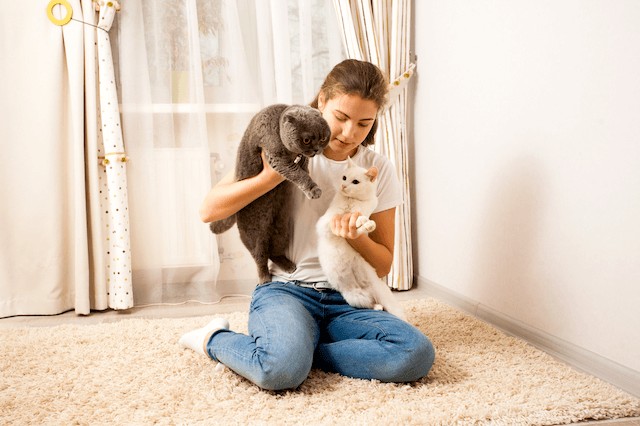 best side hustles teens pet sitting cats