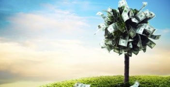 an illustration of a tree made of dollars.