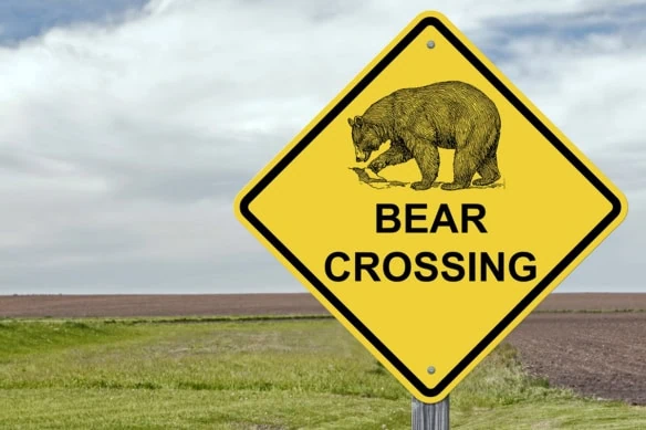 bear market crossing sign 1200