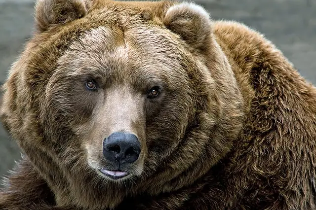 The 15 Best ETFs to Buy for the Rest of 2025 15 bear market sell stocks small