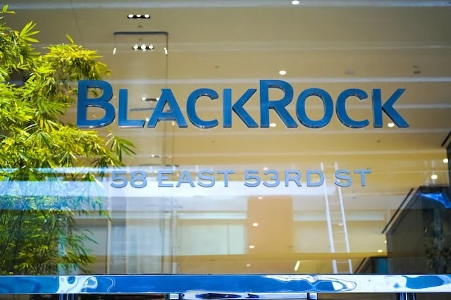 The Best Dividend Stocks: 10 Pro-Grade Income Picks for 2025 11 best dividend stock blackrock