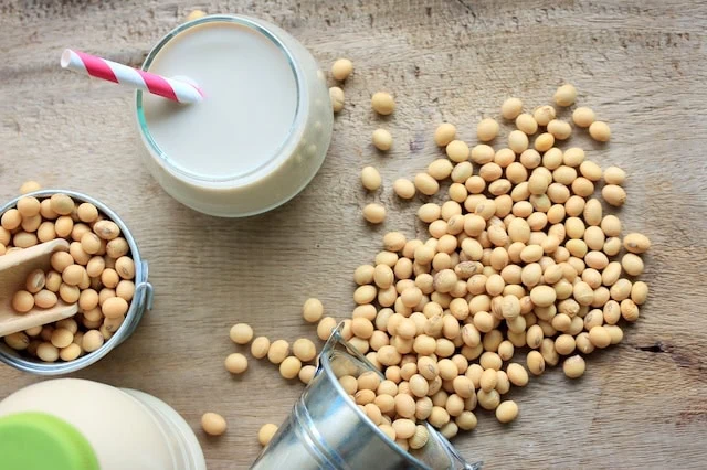 The Best Dividend Stocks: 10 Pro-Grade Income Picks for 2025 7 best dividend stock bunge global soy beans milk