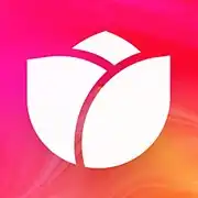 Bloom | Investing for Teens