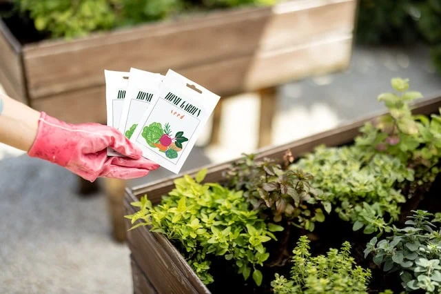 Cooking Costs Heating Up? Here's How to Save Money Cooking 8 buy cheapest plant seeds garden