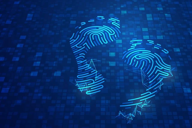 Should I Use AI for Financial Advice? 7 digital footprint data privacy