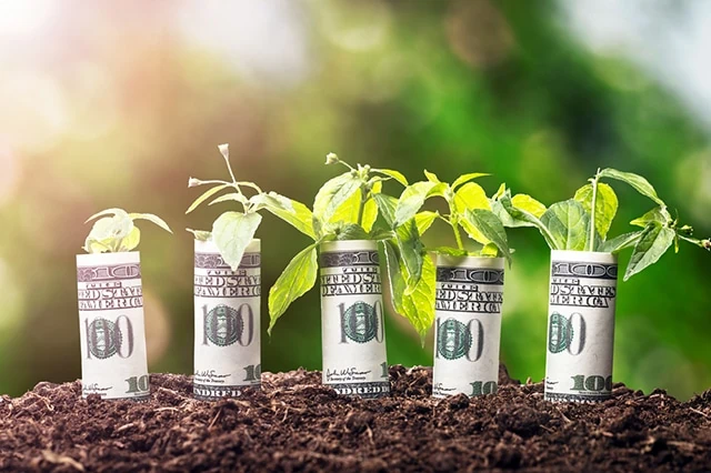 11 Best Vanguard Funds for the Everyday Investor 6 dividend growth cash yield money