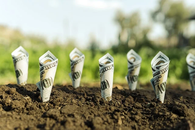 How to Open a Custodial Account for Your Child 16 investing money growth startup