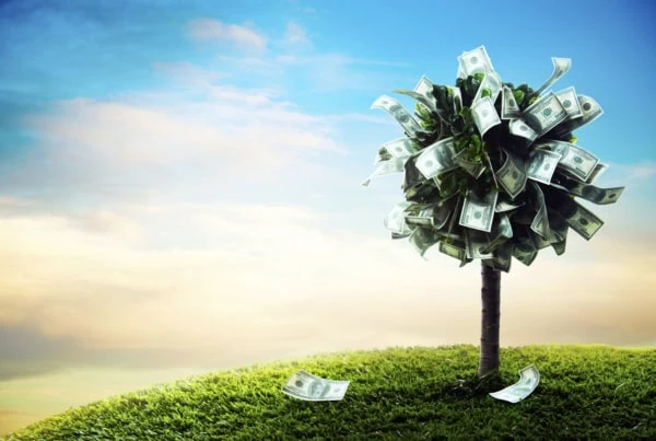 an illustration of a tree made of dollars.