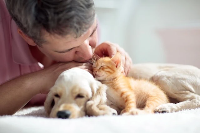 10 Pros + Cons of Pets During Retirement 3 retirement pets reduce loneliness