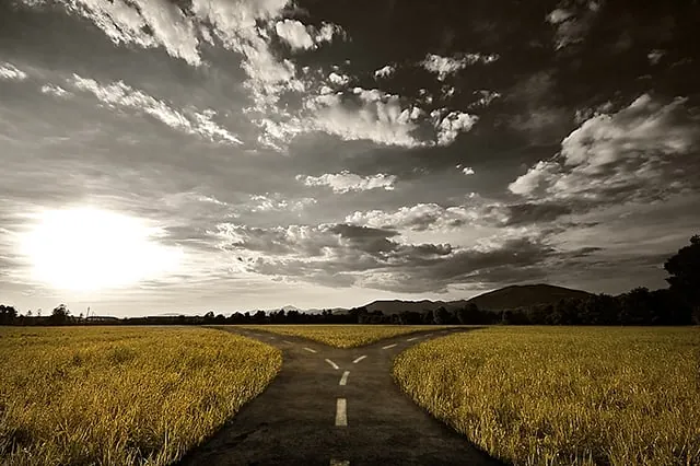 Crossroad in rural landscape under dusk sky.