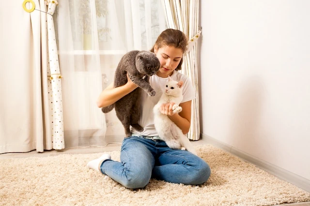 10 Pros + Cons of Pets During Retirement 10 summer job teen pet sitting